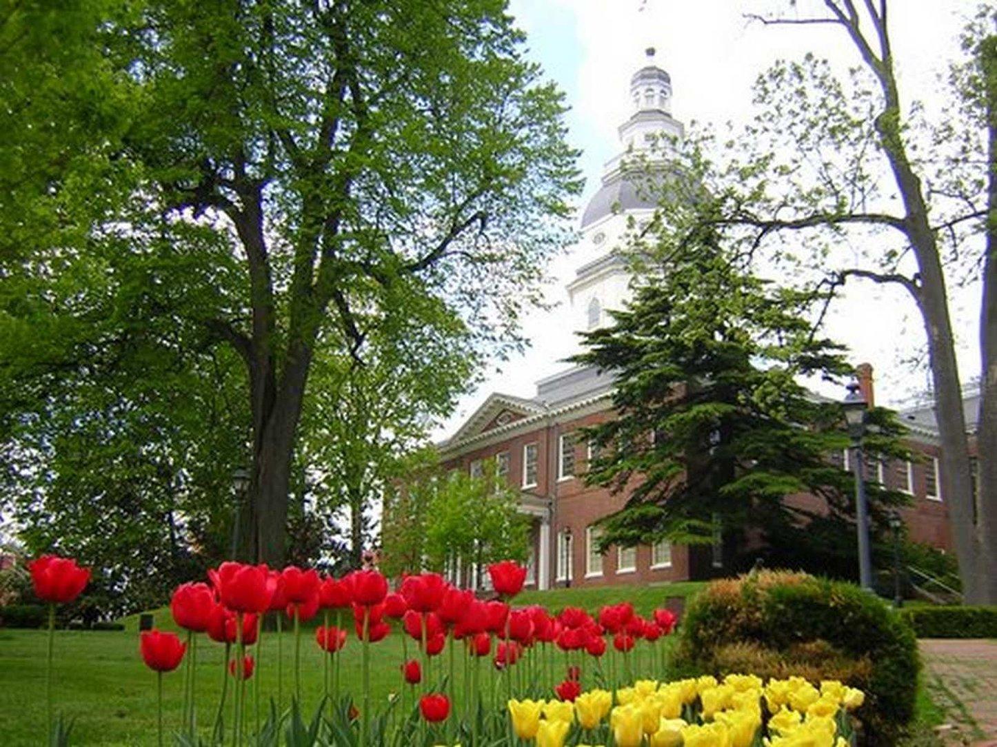 Hampton Inn & Suites Annapolis Luaran gambar